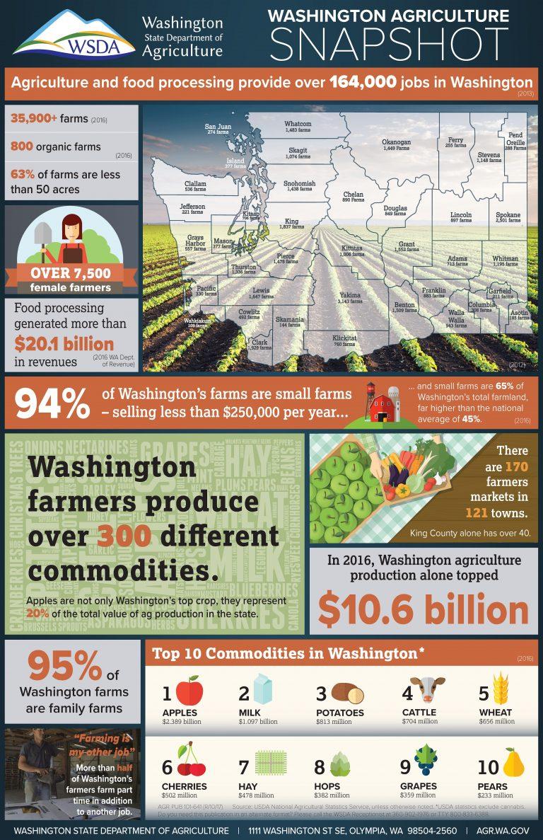 WDSA Agriculture Infographic